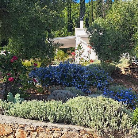 Villa Buras Skinária 外观 照片