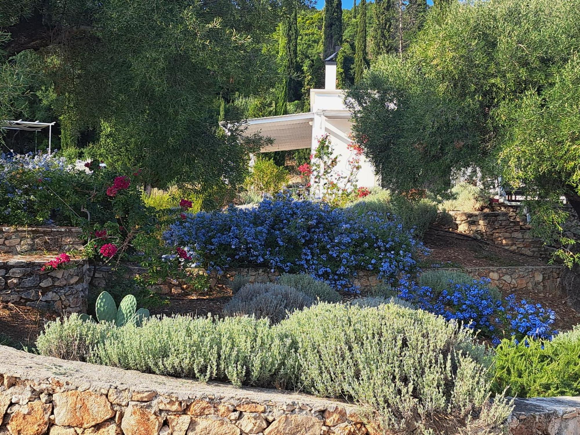 Villa Buras Skinária 外观 照片
