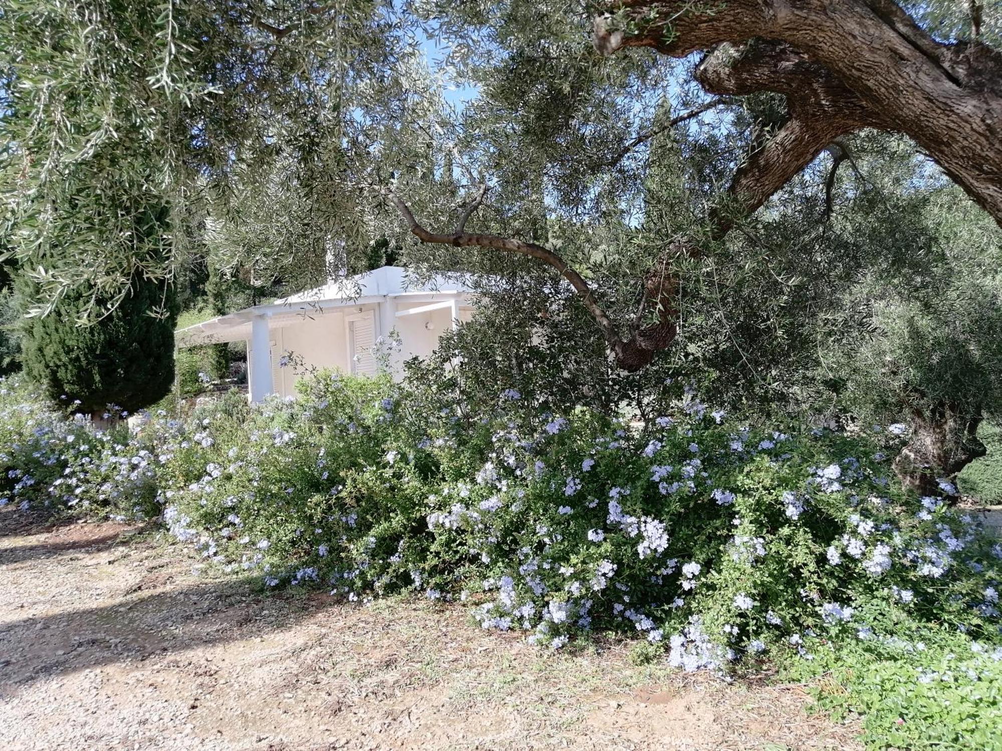 Villa Buras Skinária 外观 照片