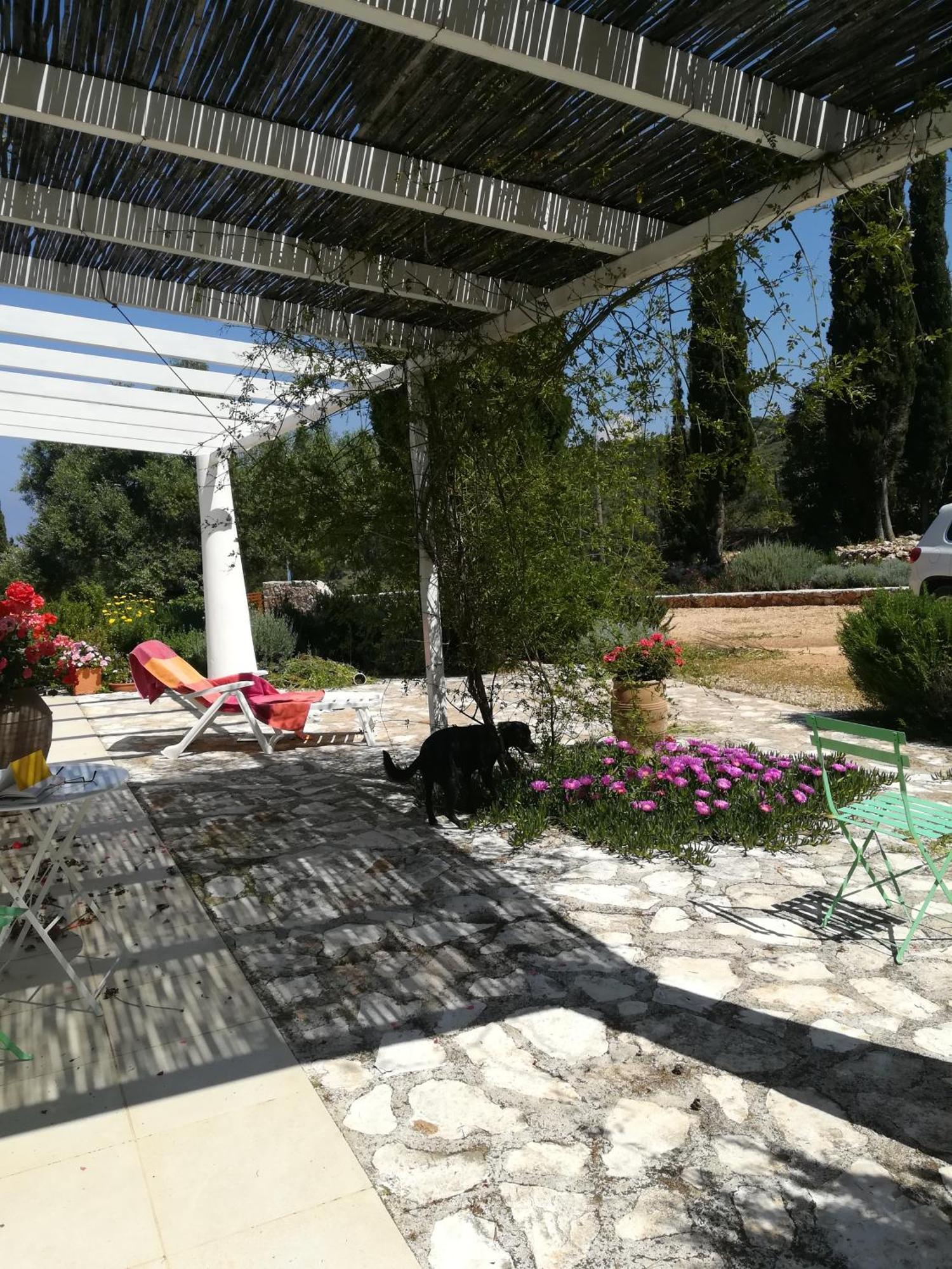 Villa Buras Skinária 外观 照片