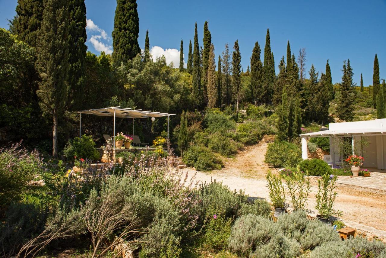 Villa Buras Skinária 外观 照片